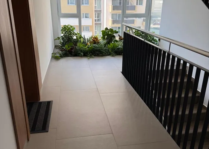 Apartment Chic At Urban Brasov